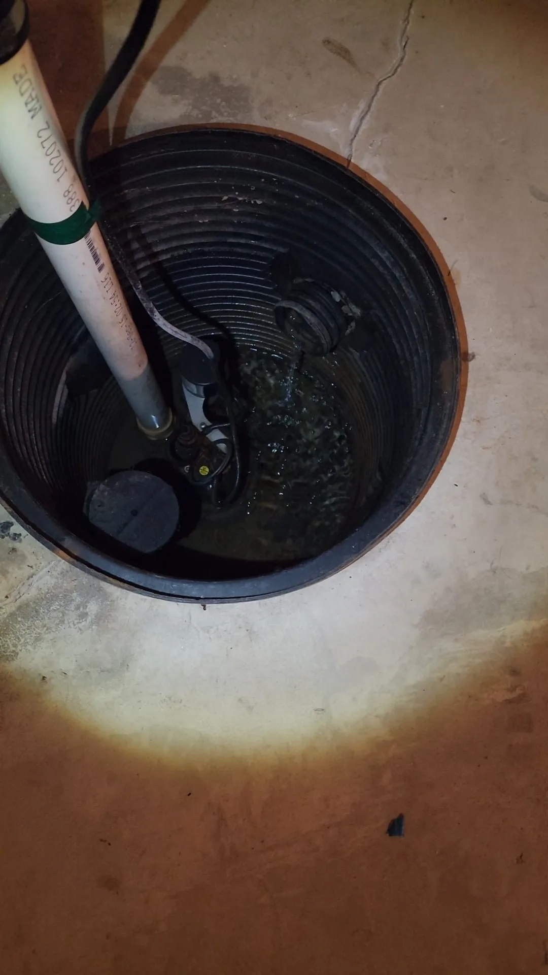A well-maintained sump pit area ready for a routine inspection in a basement.